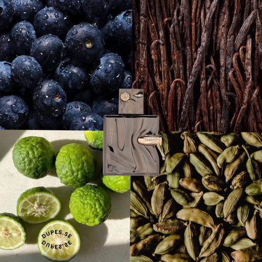 French Avenue Spectre ghost